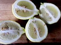 Recipes from ponderosa lemons